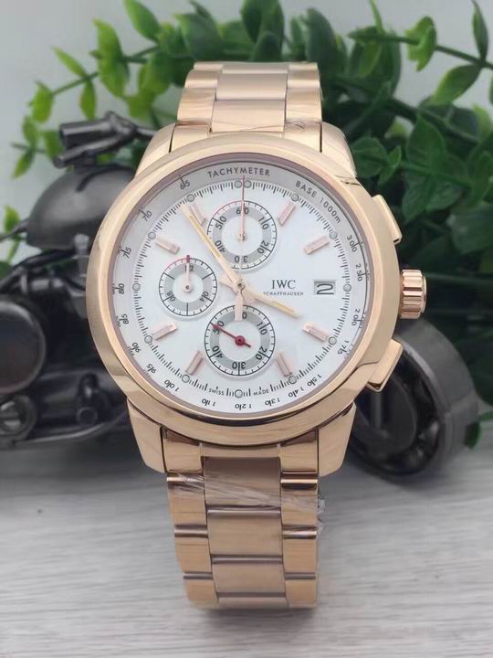 IWC watch man-487